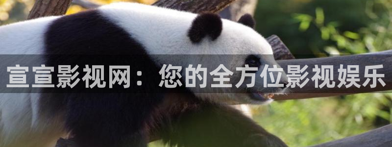 桔子視頻h：宣宣影視網：您的全方位影視娛樂