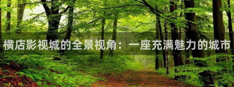 橘子桔子：橫店影視城的全景視角：一座充滿魅力的城市